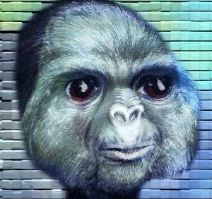 Cabal181 avatar