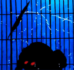 nitndo avatar