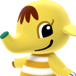 bellberry avatar