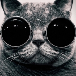 enviouser avatar