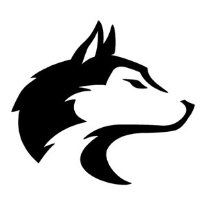 bashed9 avatar