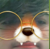 Pedr0w0 avatar