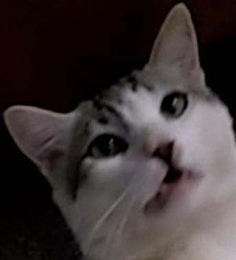 TodyOtario avatar