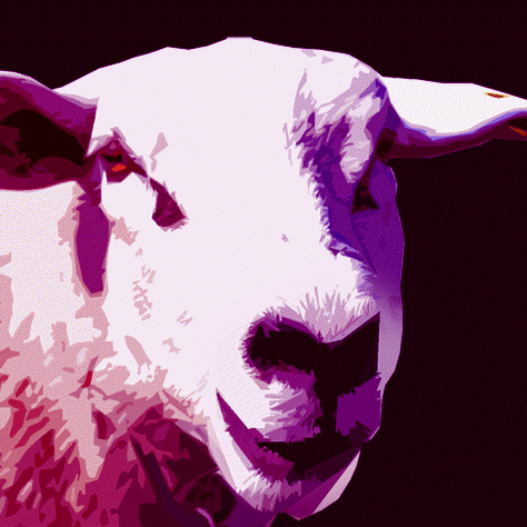 p1nk5h33p avatar