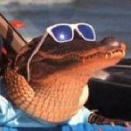 Rexenexus avatar