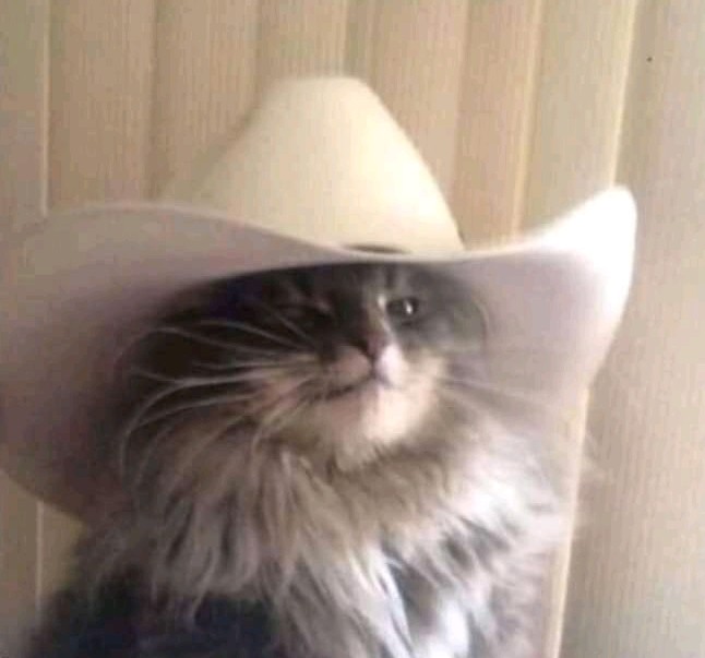 VegaxVon avatar