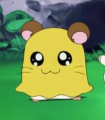 rimjobexpert avatar