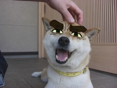 catchioro avatar