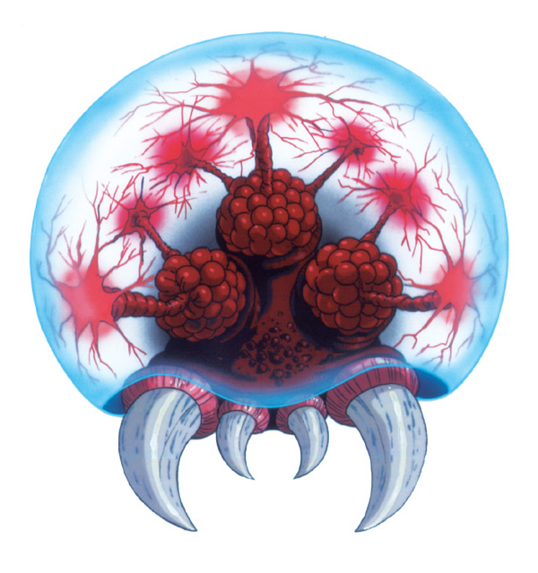 Marcometal avatar