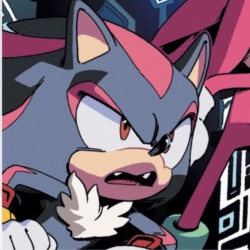 shiganshina avatar