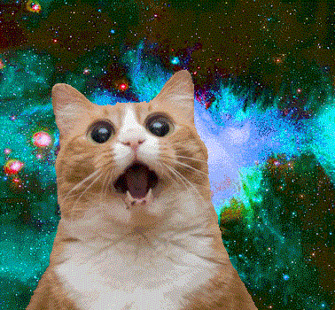 BitTrippy avatar