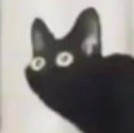 ColNinja81 avatar