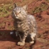 chromatica avatar