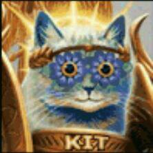 Kitocat avatar