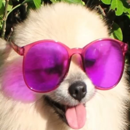pUSSYcREAM avatar