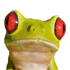 N0neguy avatar