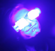 SmileLime avatar