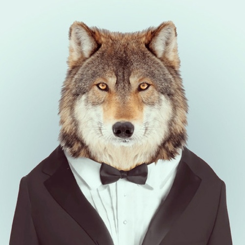 lobo avatar