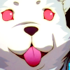 LucaxCubix avatar