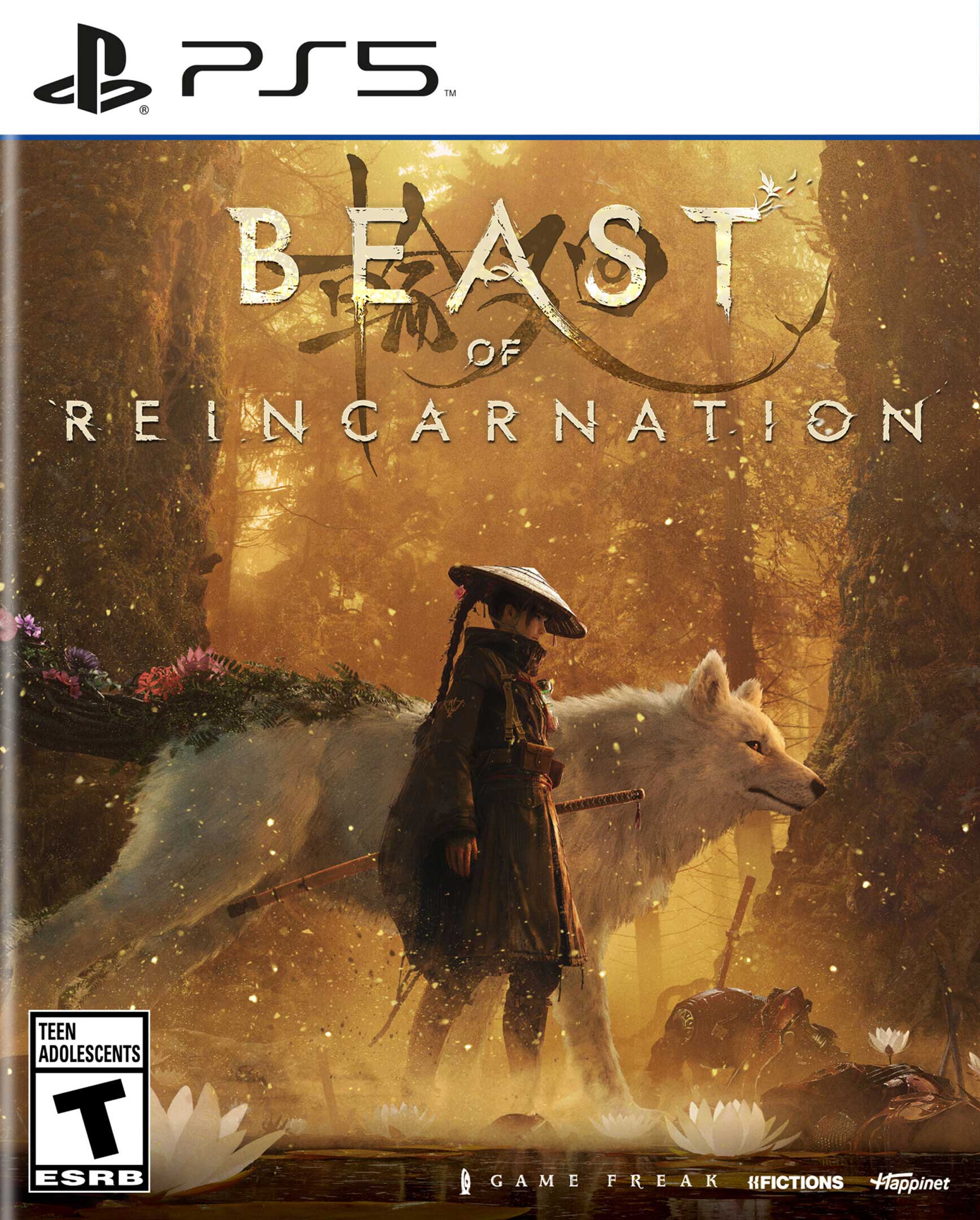 Beast of Reincarnation boxart