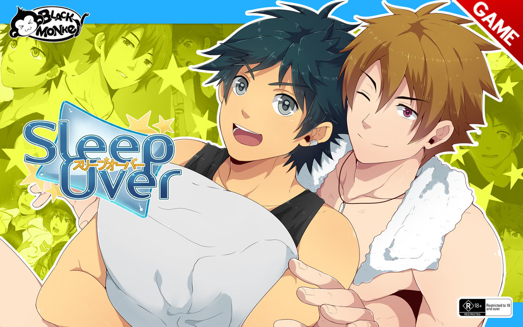 Sleepover boxart