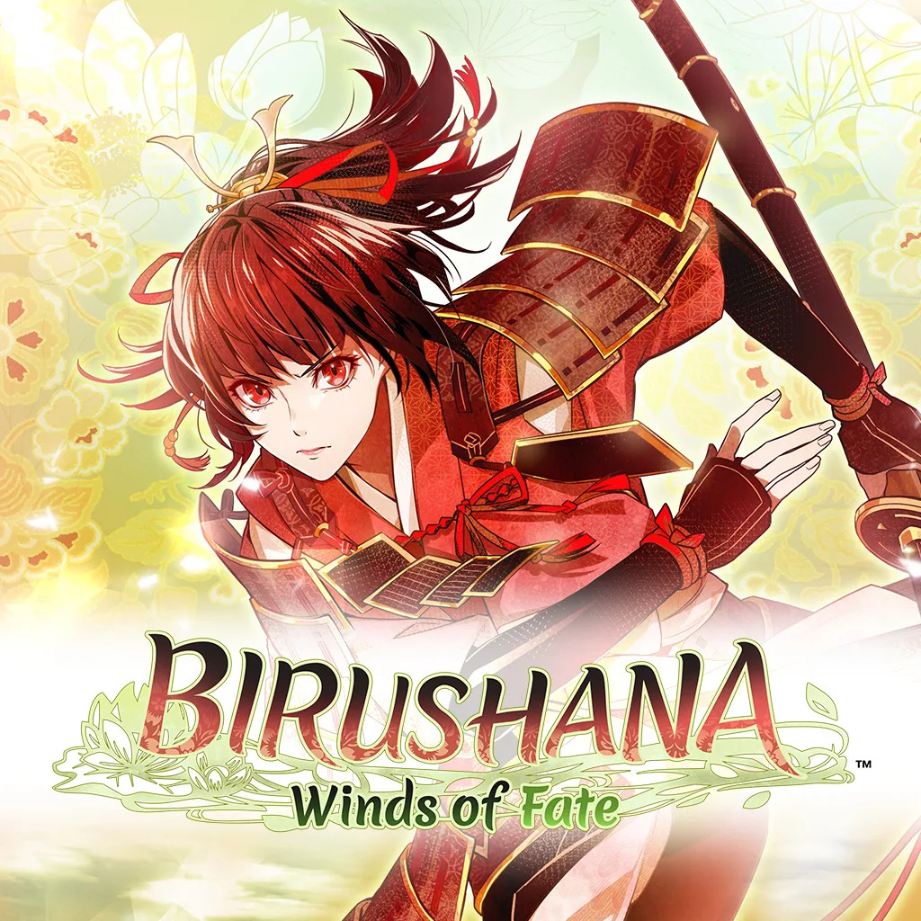 Birushana: Winds of Fate boxart