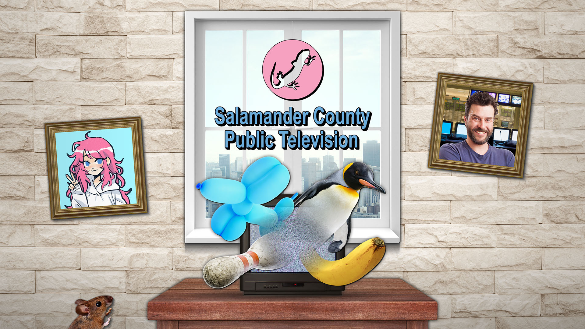 Salamander County Public Television boxart