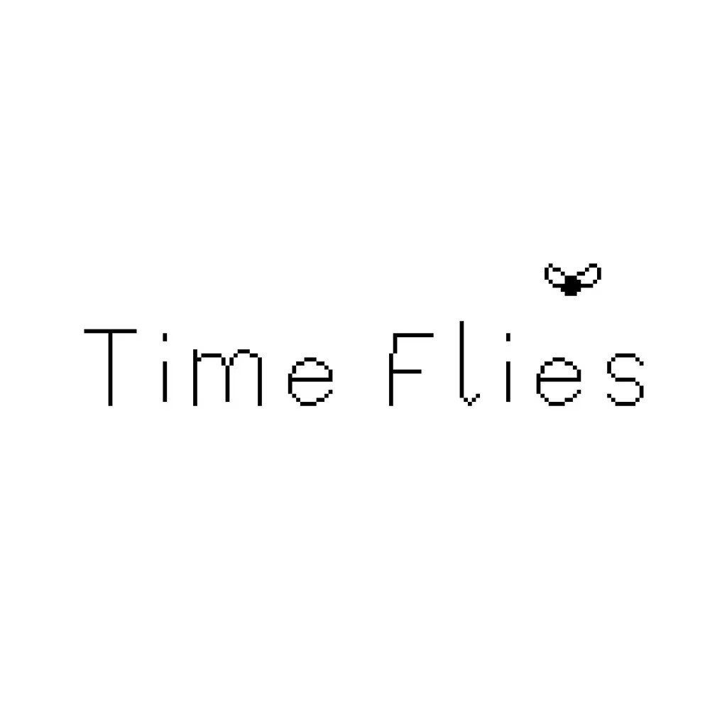 Time Flies boxart