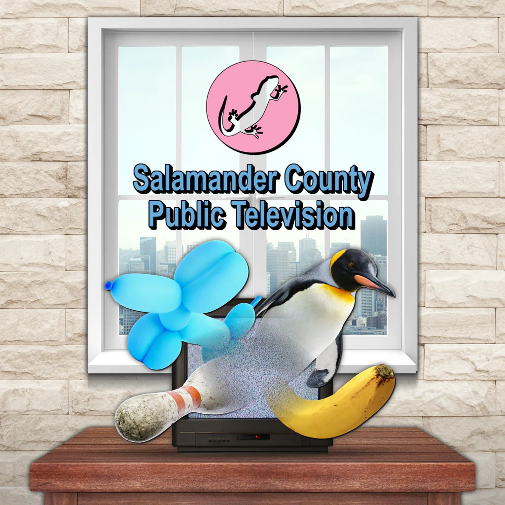 Salamander County Public Television boxart