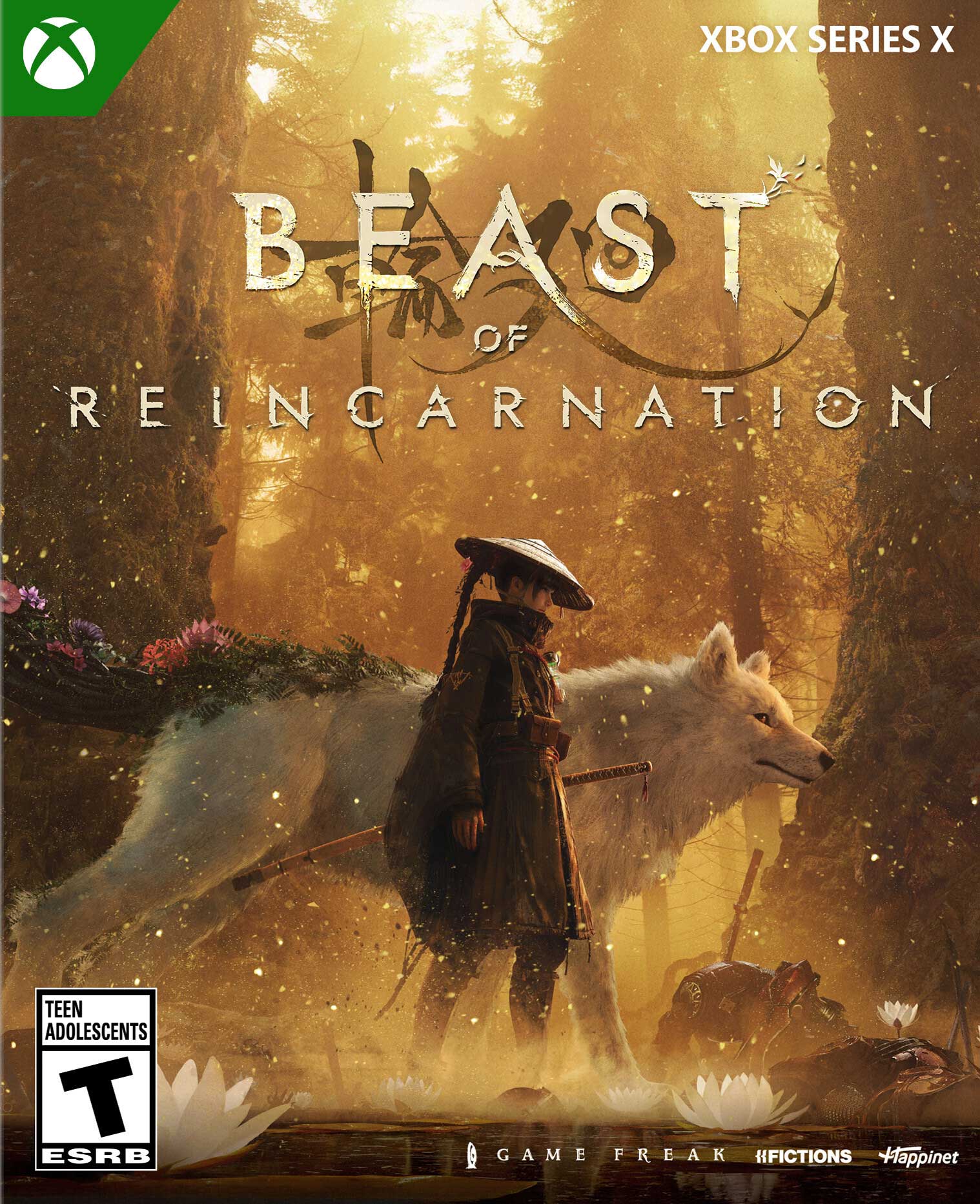 Beast of Reincarnation boxart